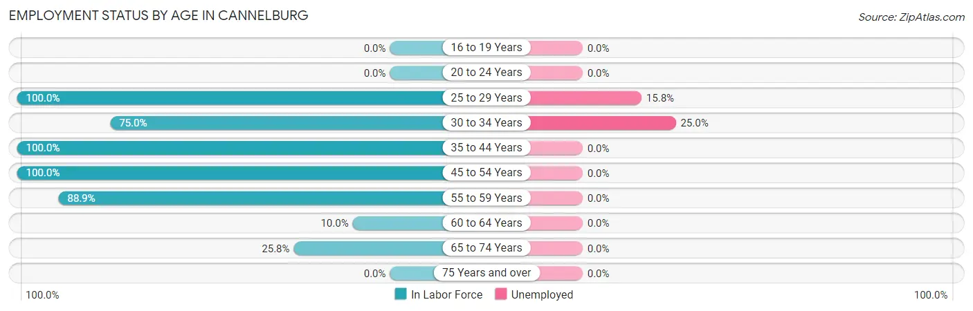Employment Status by Age in Cannelburg