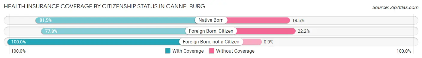Health Insurance Coverage by Citizenship Status in Cannelburg