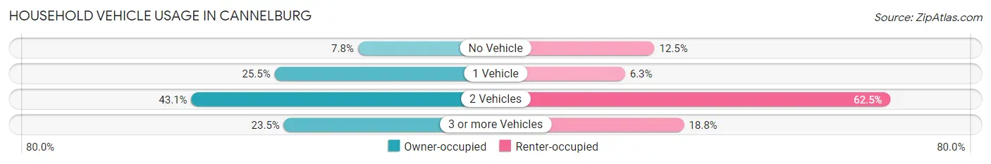 Household Vehicle Usage in Cannelburg