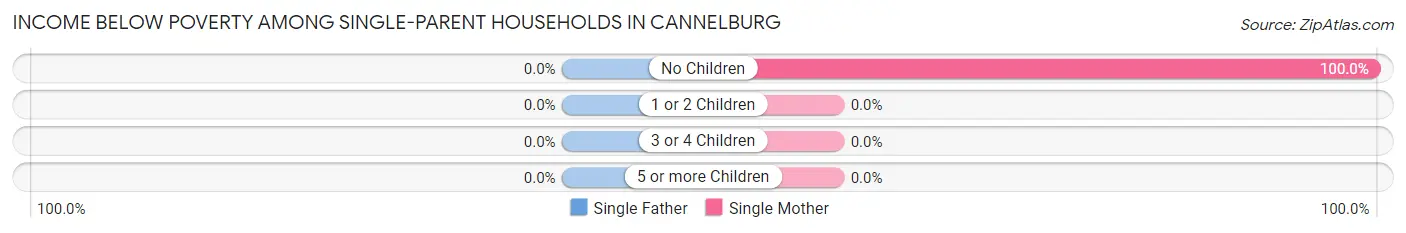 Income Below Poverty Among Single-Parent Households in Cannelburg