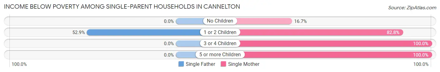 Income Below Poverty Among Single-Parent Households in Cannelton