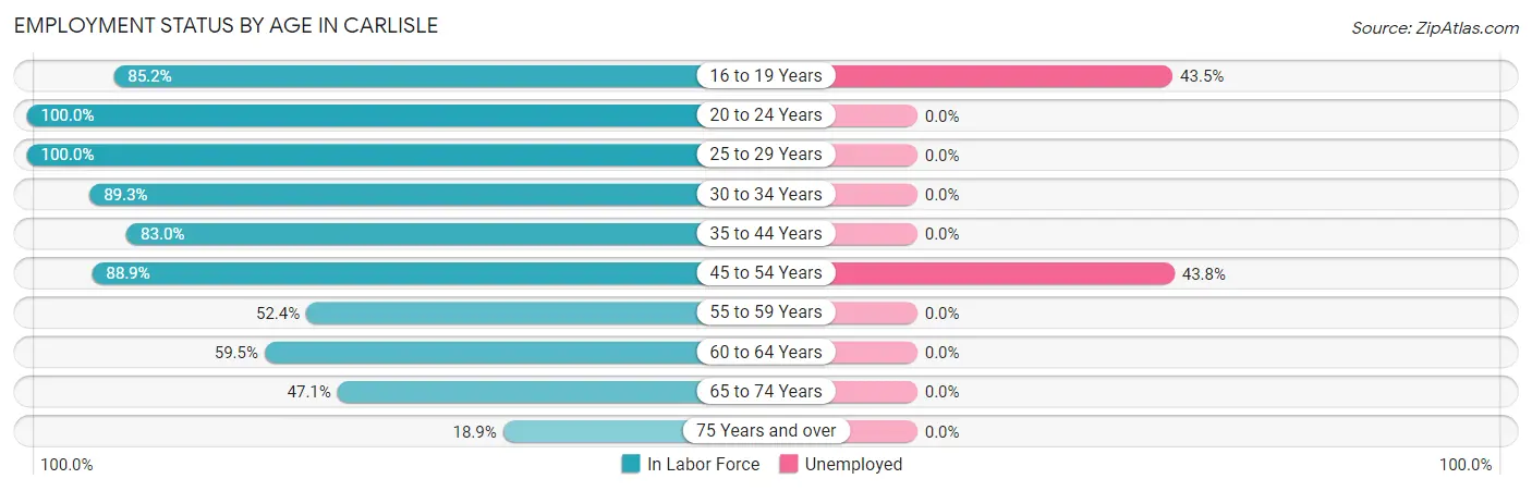 Employment Status by Age in Carlisle