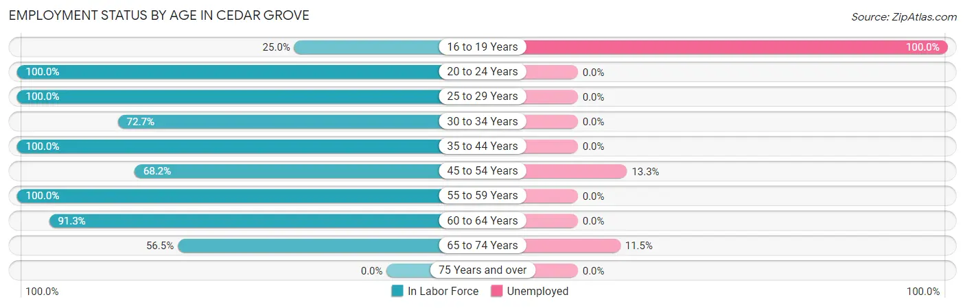 Employment Status by Age in Cedar Grove