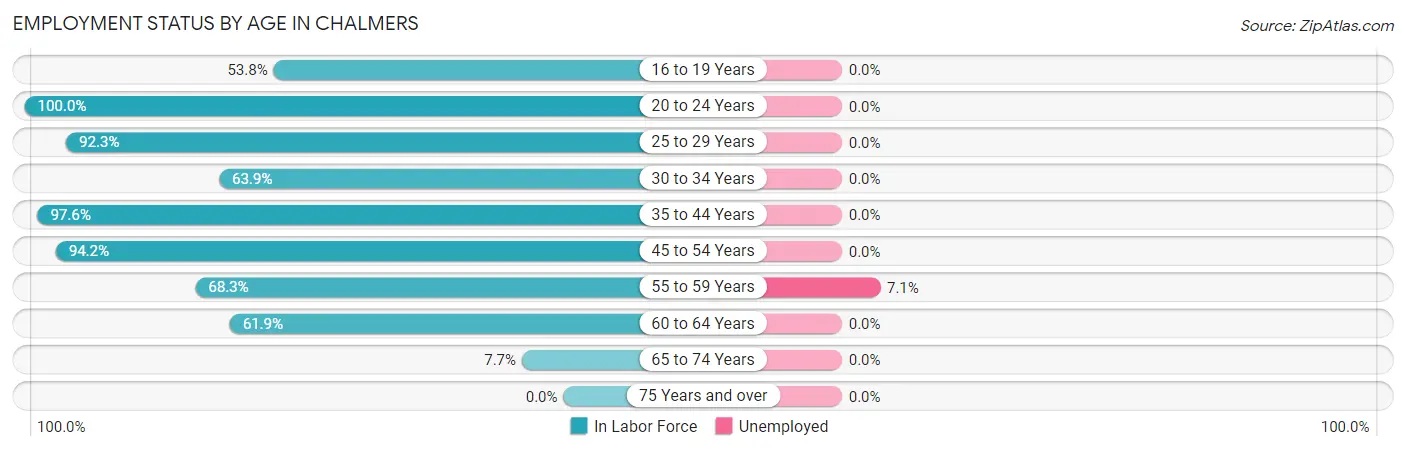 Employment Status by Age in Chalmers