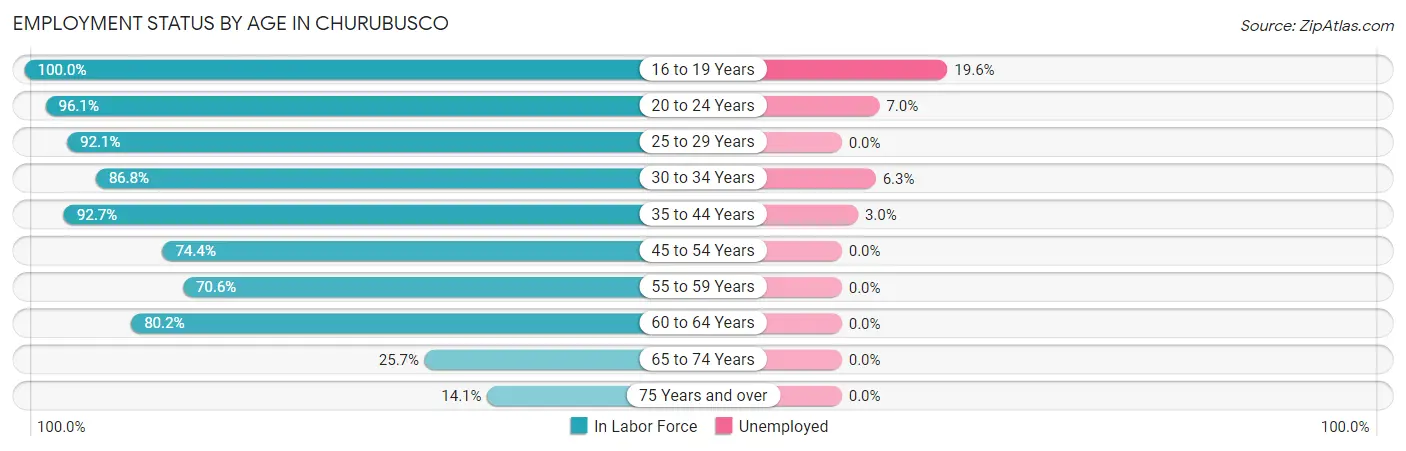 Employment Status by Age in Churubusco