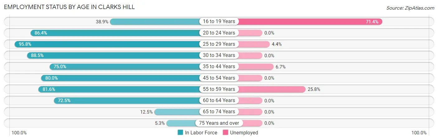 Employment Status by Age in Clarks Hill