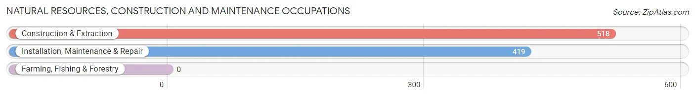 Natural Resources, Construction and Maintenance Occupations in Columbus