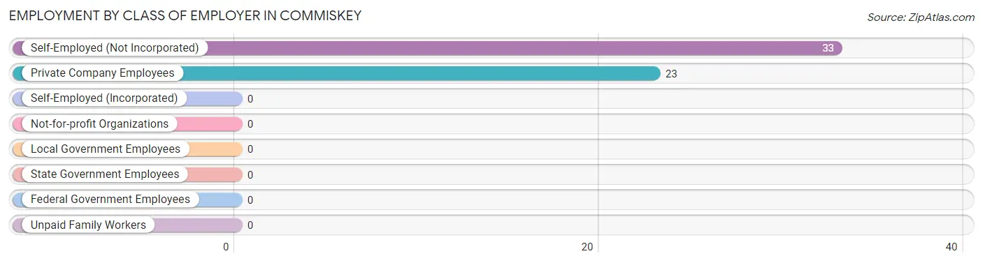 Employment by Class of Employer in Commiskey