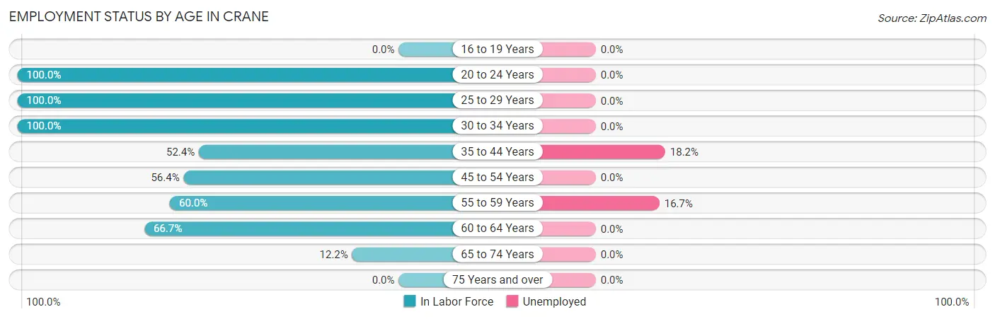 Employment Status by Age in Crane