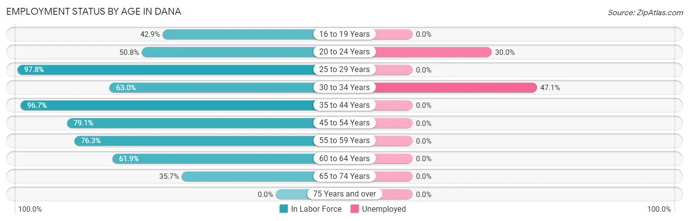 Employment Status by Age in Dana