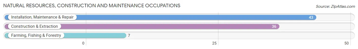 Natural Resources, Construction and Maintenance Occupations in Dana