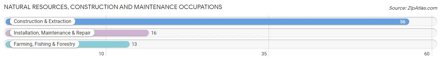 Natural Resources, Construction and Maintenance Occupations in Dubois