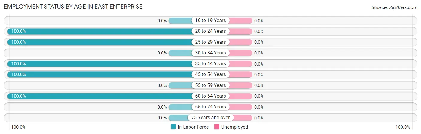 Employment Status by Age in East Enterprise