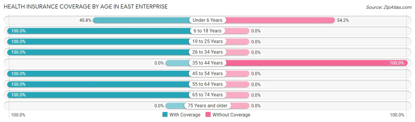 Health Insurance Coverage by Age in East Enterprise