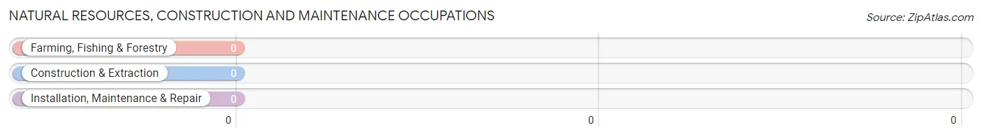 Natural Resources, Construction and Maintenance Occupations in Eckerty