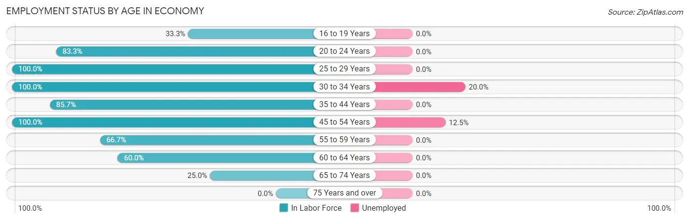 Employment Status by Age in Economy