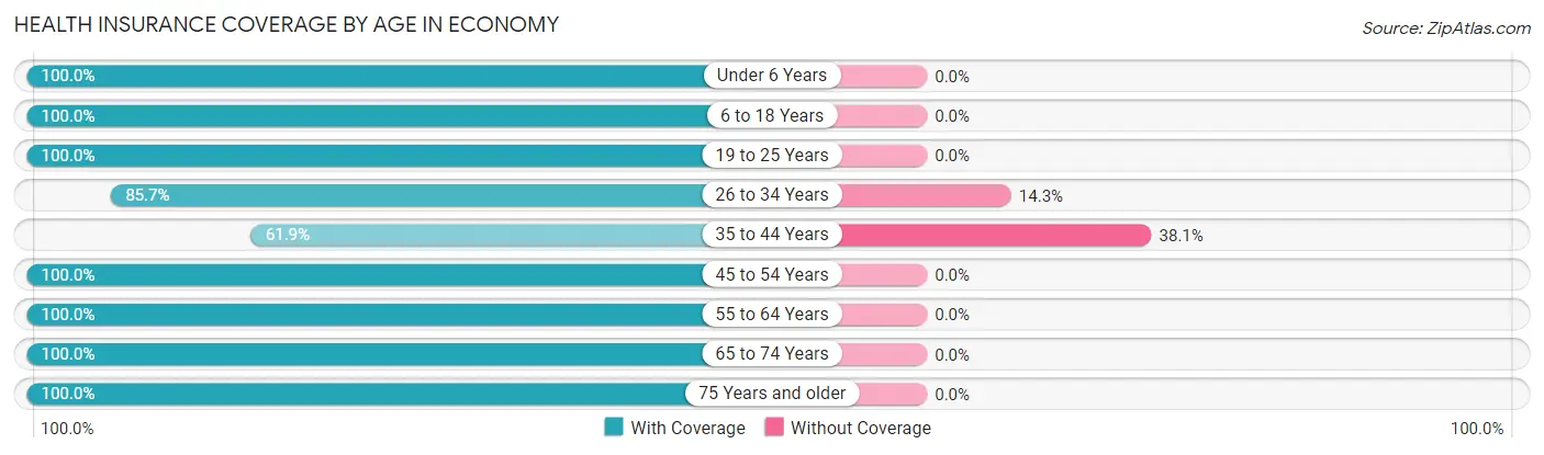 Health Insurance Coverage by Age in Economy