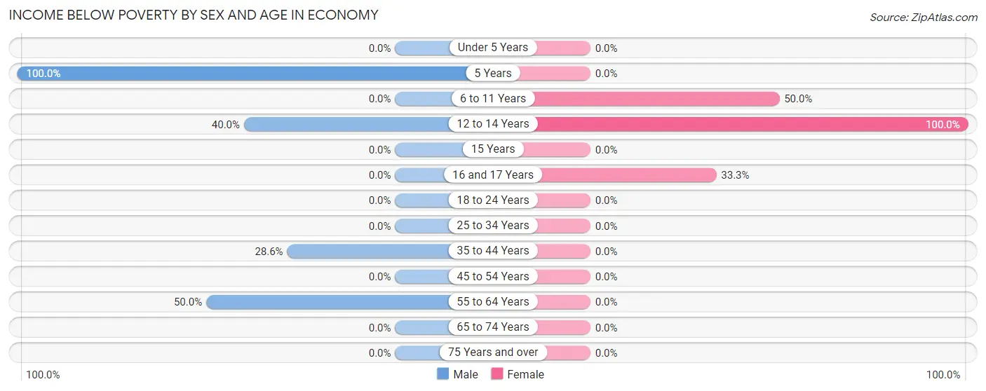 Income Below Poverty by Sex and Age in Economy