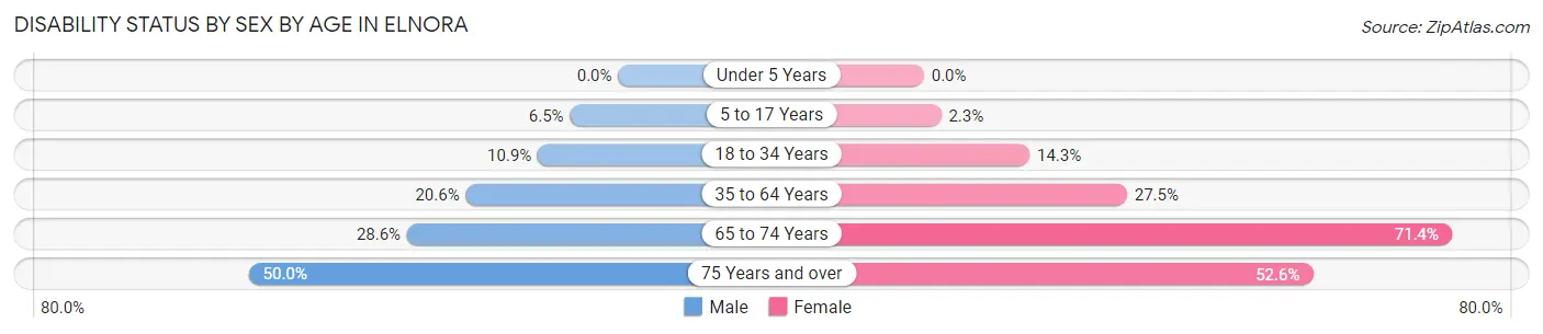 Disability Status by Sex by Age in Elnora