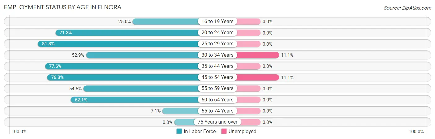 Employment Status by Age in Elnora