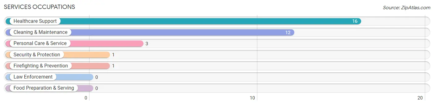 Services Occupations in Elnora