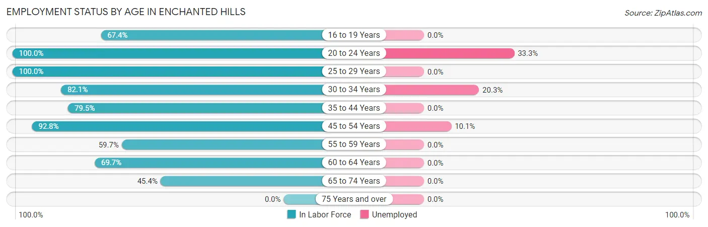 Employment Status by Age in Enchanted Hills