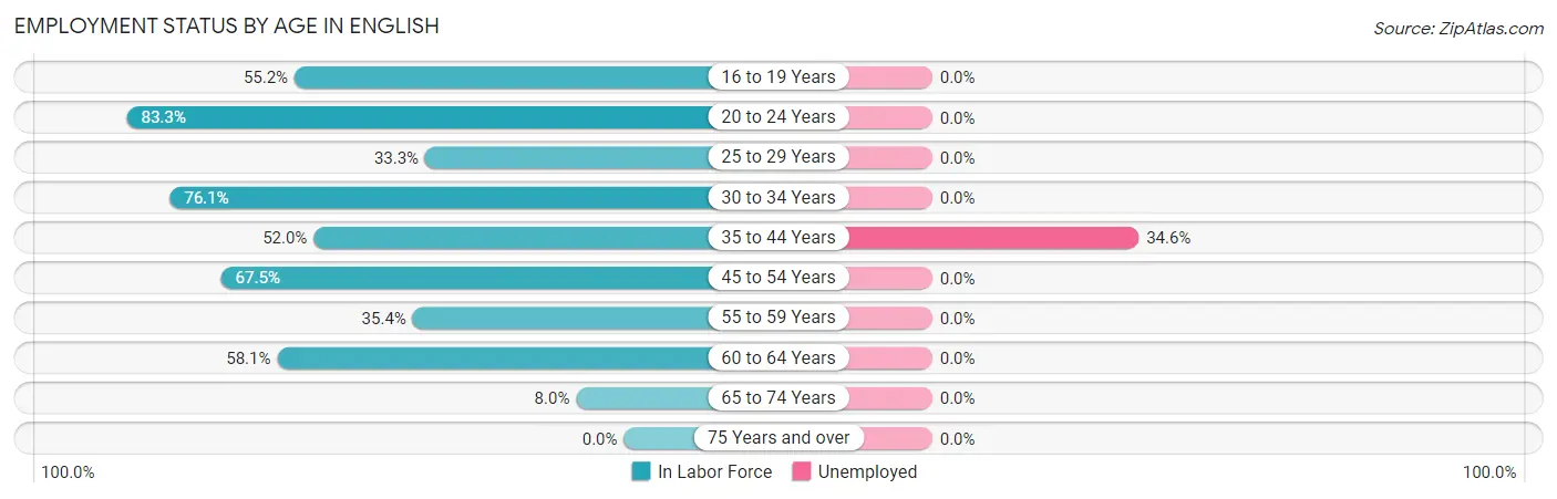 Employment Status by Age in English