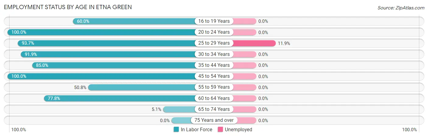 Employment Status by Age in Etna Green
