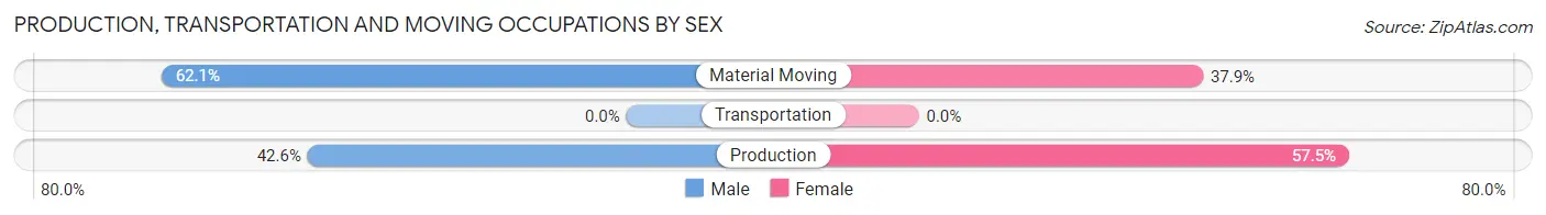 Production, Transportation and Moving Occupations by Sex in Etna Green