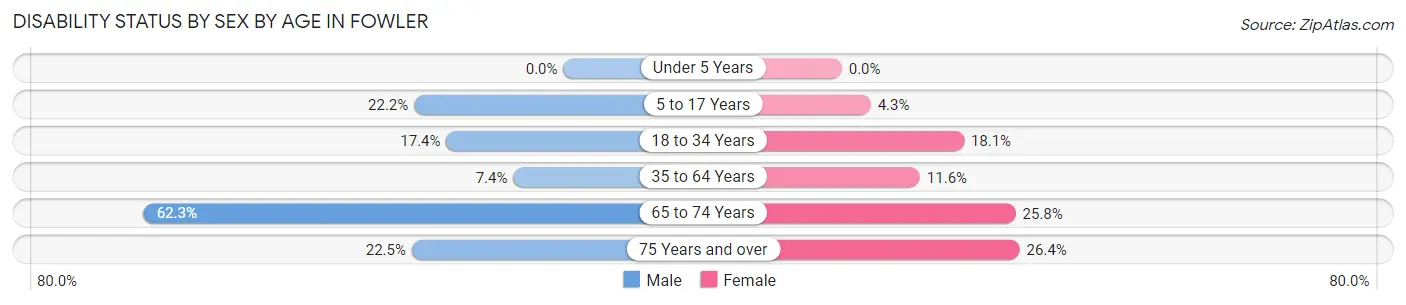 Disability Status by Sex by Age in Fowler