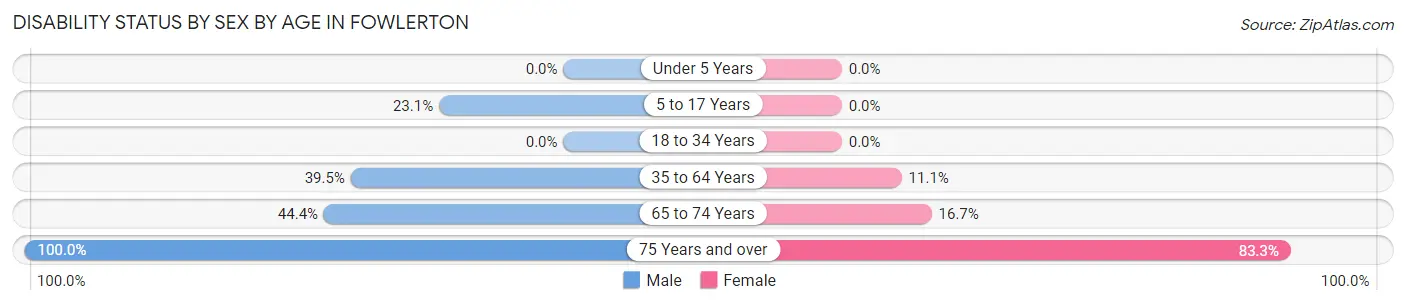 Disability Status by Sex by Age in Fowlerton