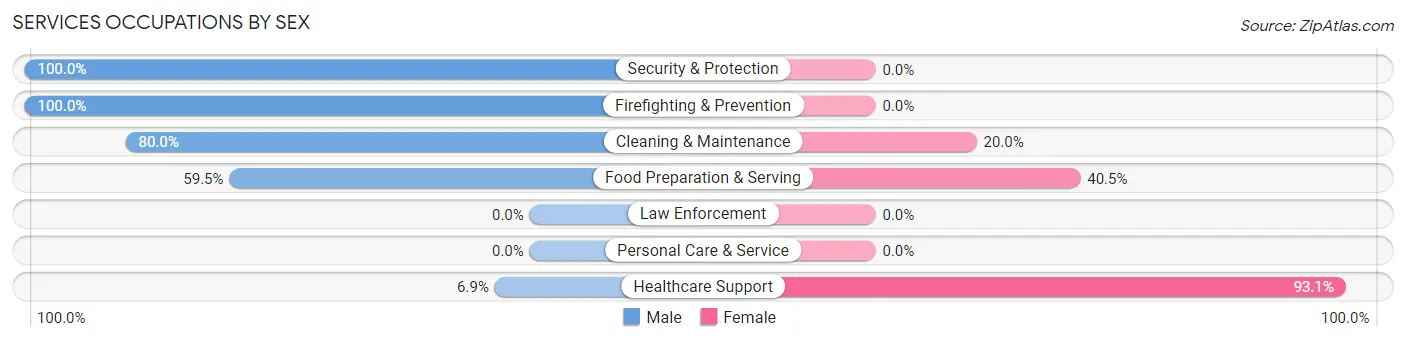 Services Occupations by Sex in Gaston