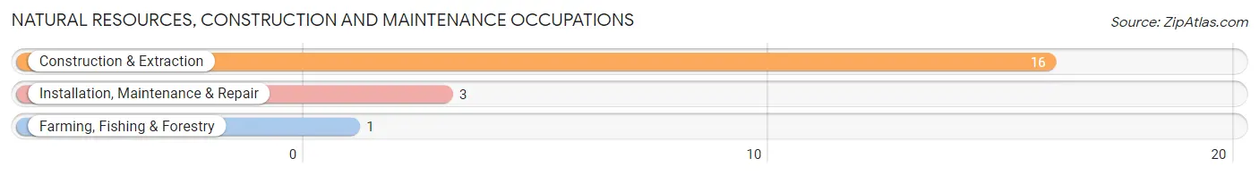 Natural Resources, Construction and Maintenance Occupations in Grandview