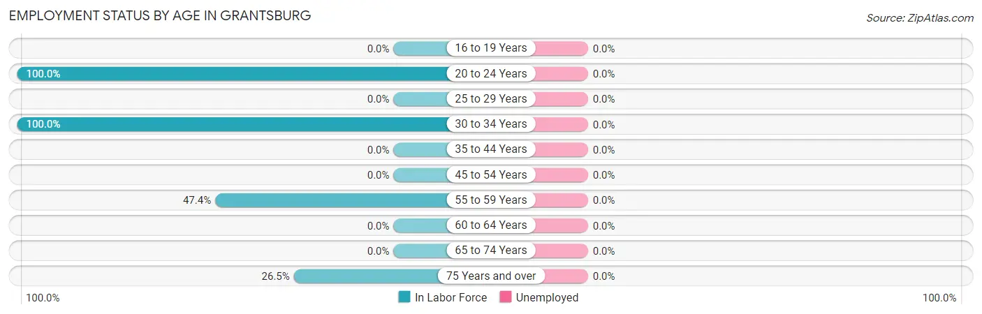 Employment Status by Age in Grantsburg