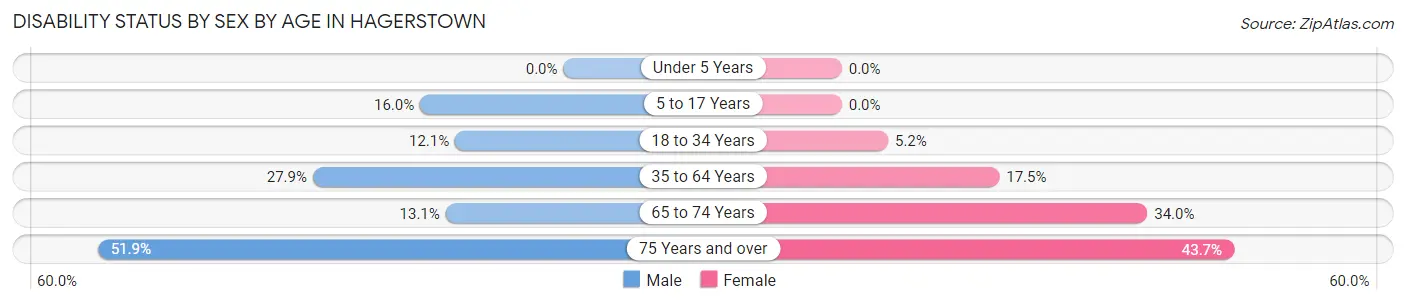 Disability Status by Sex by Age in Hagerstown