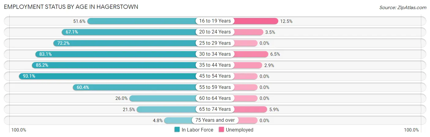 Employment Status by Age in Hagerstown