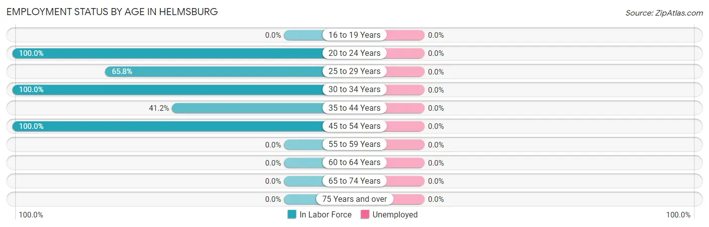 Employment Status by Age in Helmsburg