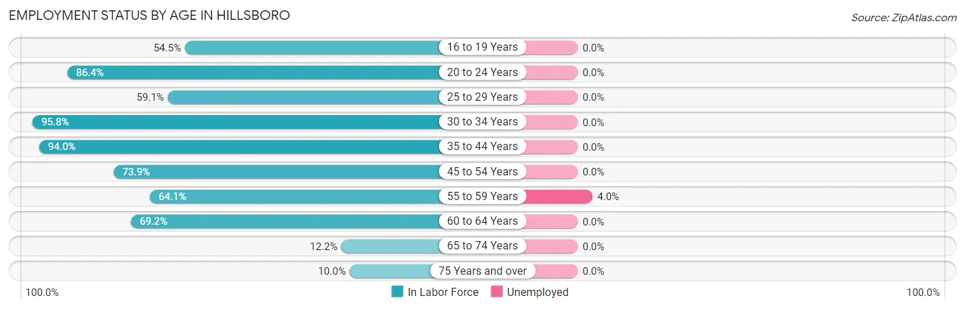 Employment Status by Age in Hillsboro