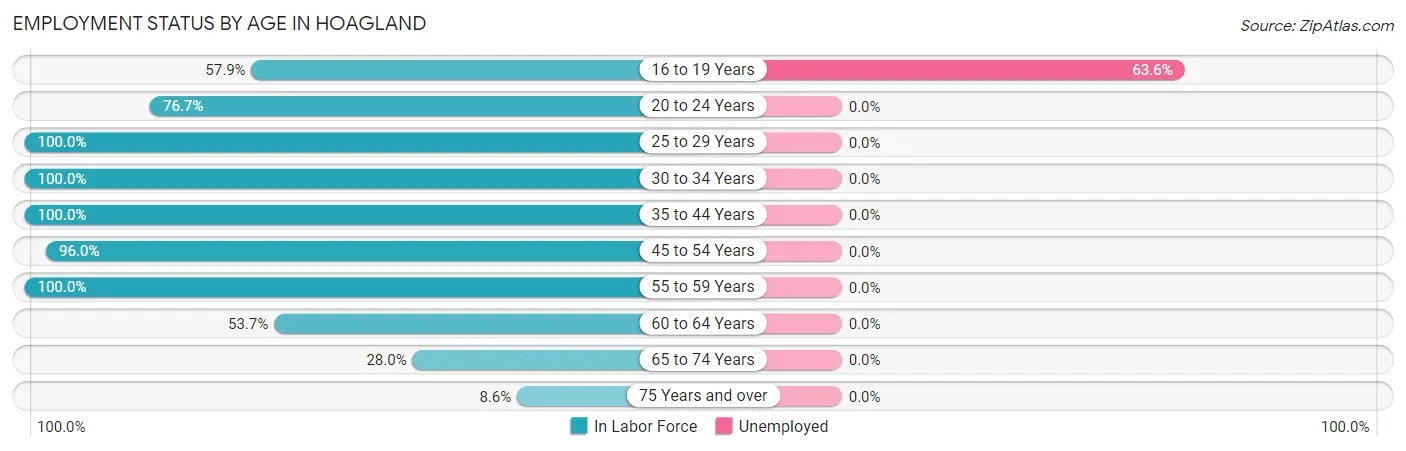 Employment Status by Age in Hoagland