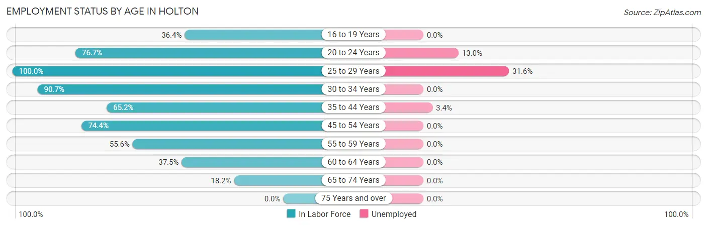 Employment Status by Age in Holton