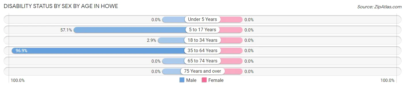 Disability Status by Sex by Age in Howe