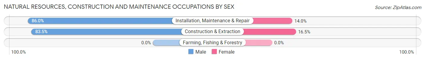 Natural Resources, Construction and Maintenance Occupations by Sex in Huntertown