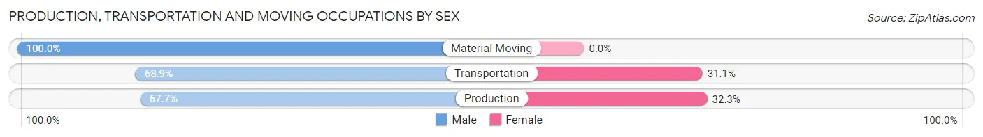 Production, Transportation and Moving Occupations by Sex in Huntertown