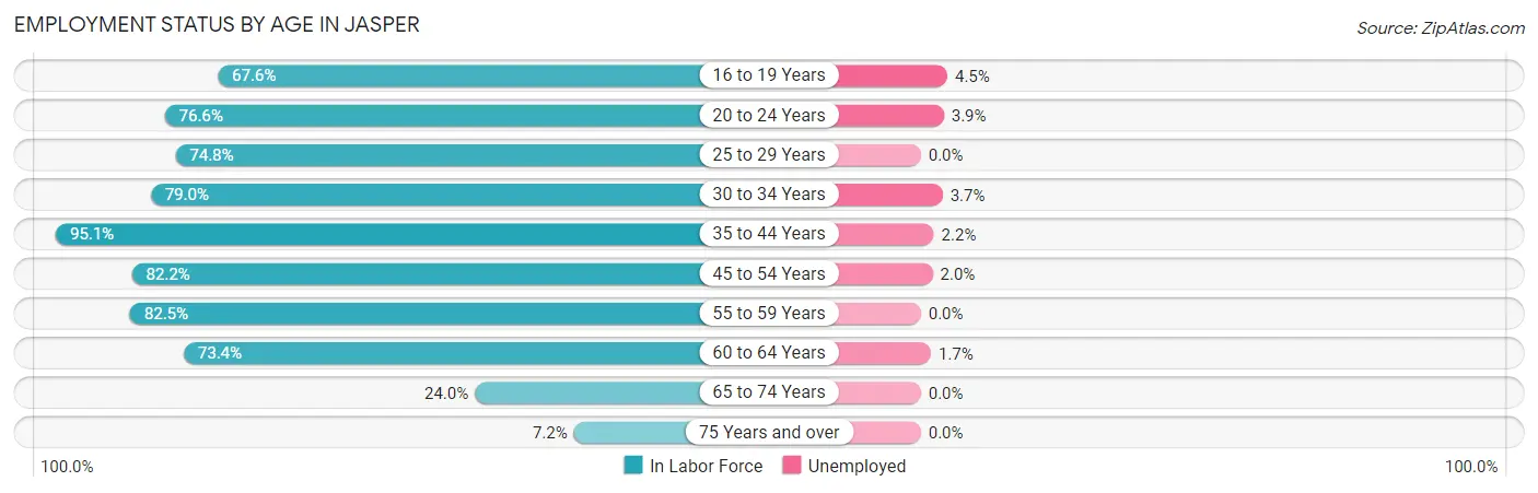 Employment Status by Age in Jasper