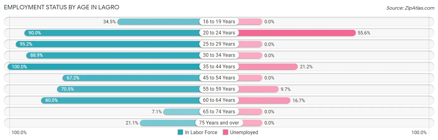 Employment Status by Age in Lagro