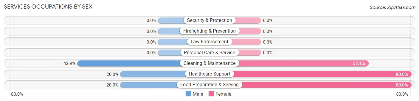 Services Occupations by Sex in Lagro