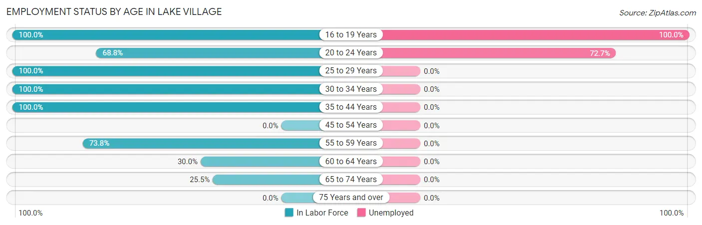 Employment Status by Age in Lake Village