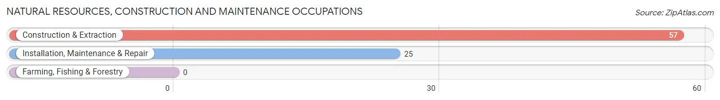 Natural Resources, Construction and Maintenance Occupations in Lanesville