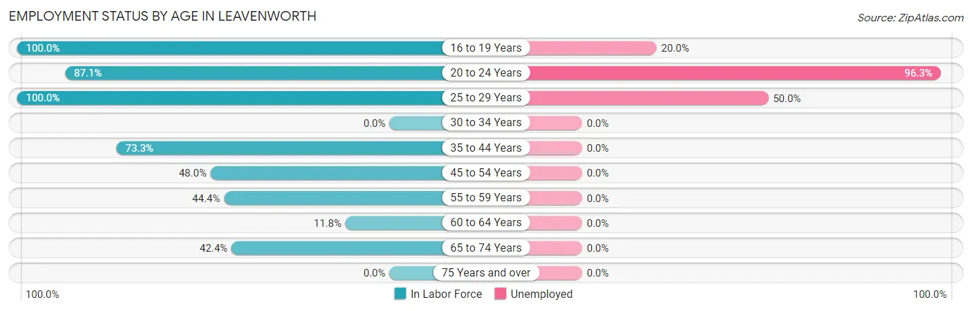 Employment Status by Age in Leavenworth