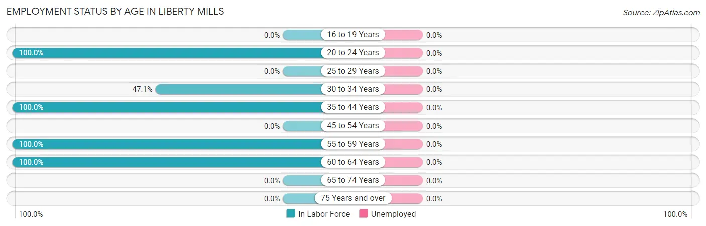 Employment Status by Age in Liberty Mills
